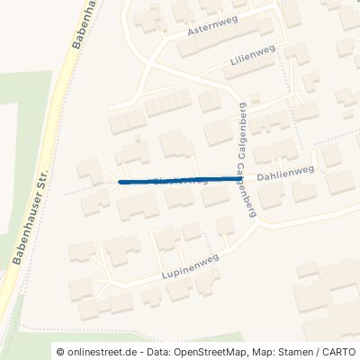 Ginsterweg 86381 Krumbach Krumbach 