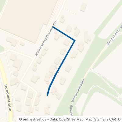 Vogesenblick Friesenheim Oberschopfheim 