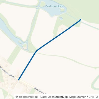 Zedernweg Oranienbaum-Wörlitz Wörlitz 
