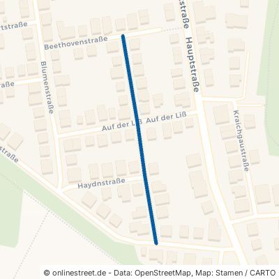 August-Ziegelmüller-Straße 69226 Nußloch 