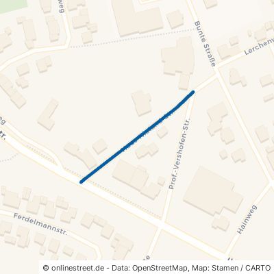 Haus-Nieland-Straße 48496 Hopsten 