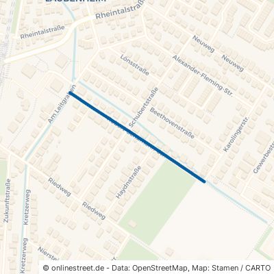 Robert-Schumann-Straße Mainz Laubenheim 