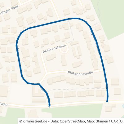 Ligusterstraße Wendelstein Großschwarzenlohe 