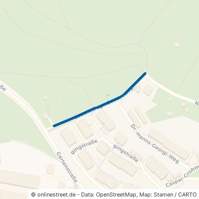 Goetheweg Sebnitz 