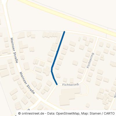 Werrastraße 64572 Büttelborn 