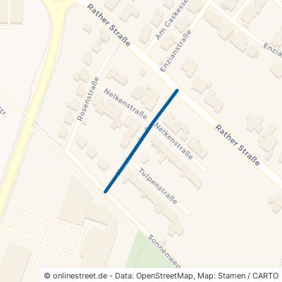 Narzissenstraße Wegberg Rath-Anhoven 