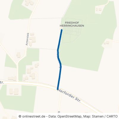 Friedhofsweg Enger Herringhausen 