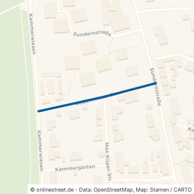 Robert-Koch-Straße Peine Kernstadt Nord 