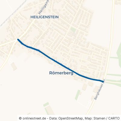Viehtriftstraße Römerberg Heiligenstein 