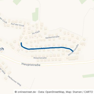 Tulpenstraße 35767 Breitscheid Medenbach 
