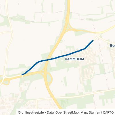 Speyerer Straße Landau in der Pfalz Dammheim 