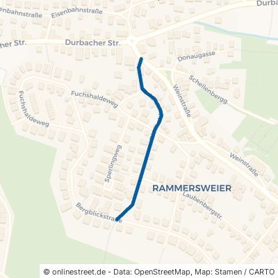 Riedhaldestraße Offenburg Rammersweier 