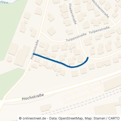 Nelkenstraße 88317 Aichstetten 