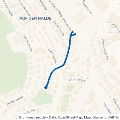 Haldenweg Kempten (Allgäu) Halde 
