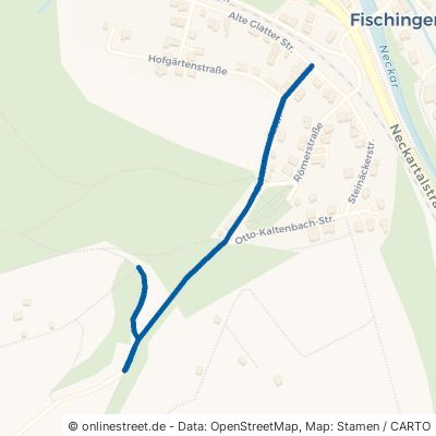 Schwarzwaldstraße Sulz am Neckar Fischingen 