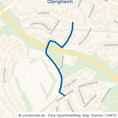 Pappelweg Obrigheim 