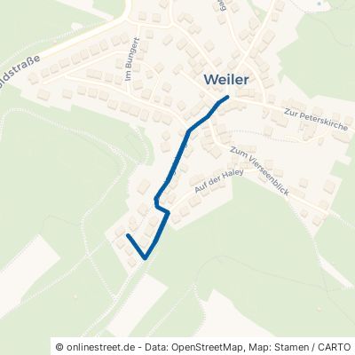 Zum Vogelsberg 56154 Boppard Weiler 