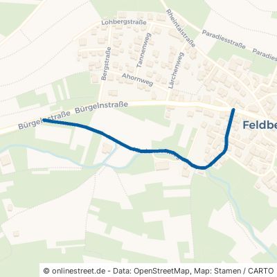 Niedermattweg Müllheim Feldberg 