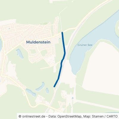 Steinlausigker Straße Muldestausee Muldenstein 
