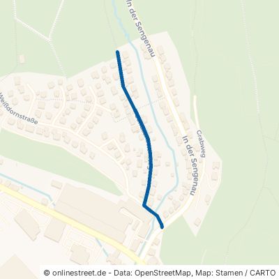 Sendschotter Weg 57489 Drolshagen 