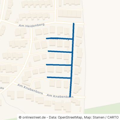 Kaupenweg Dietzenbach Hexenberg 