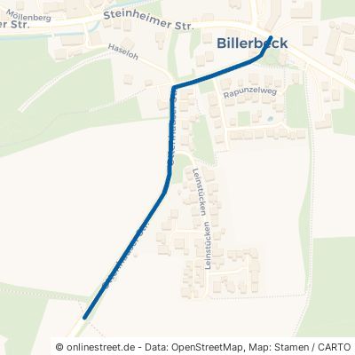 Ottenhauser Straße 32805 Horn-Bad Meinberg Billerbeck Billerbeck