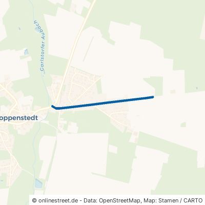 Alte Lüneburger Straße Toppenstedt 