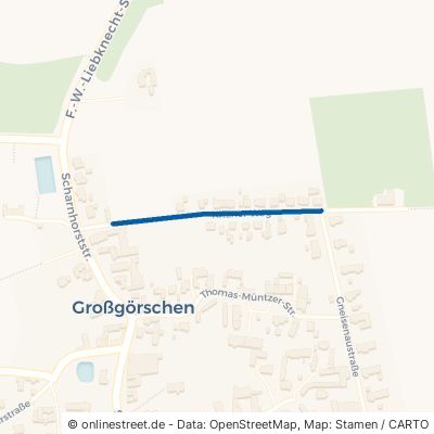 Kitzener Weg 06686 Lützen Großgörschen 