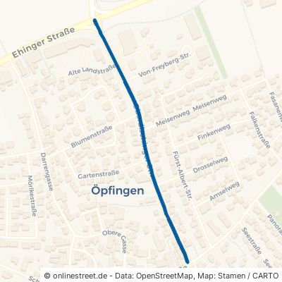 Oberdischinger Straße 89614 Öpfingen 