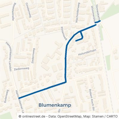 Feuerdornstraße 46487 Wesel Blumenkamp Blumenkamp