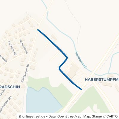 Wildenauer Straße 92694 Etzenricht Radschin 