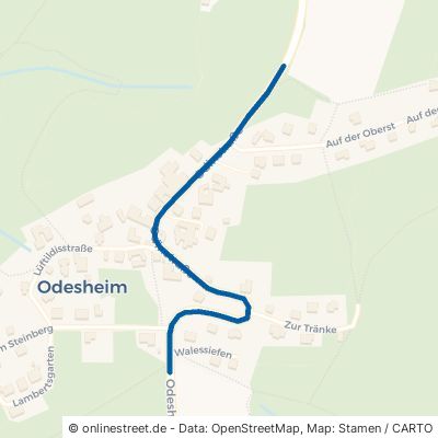 Odinstraße 53902 Bad Münstereifel Odesheim 