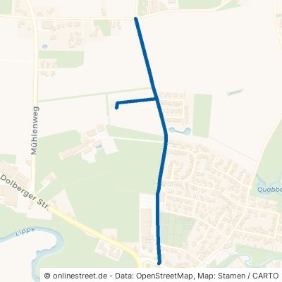 Dalmer Weg Lippetal Lippborg 