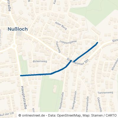 Burgstraße 69226 Nußloch 
