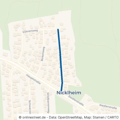 Fichtenweg Raubling Nicklheim 