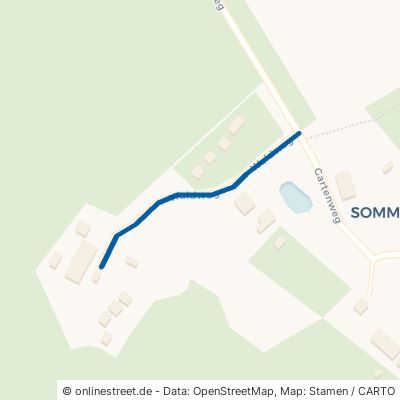 Waldweg Prohn Sommerfeld 