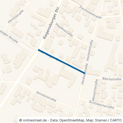 Max-Reger-Straße 92421 Schwandorf 