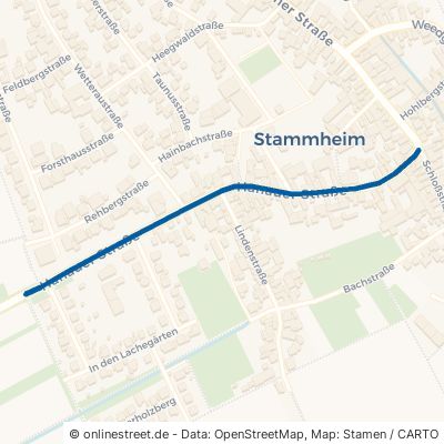Hanauer Straße Florstadt Stammheim 