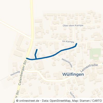 Neue Straße 31008 Elze Wülfingen 