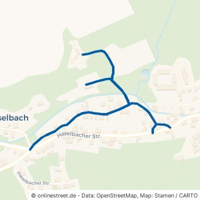 Sträucherweg Pfaffroda Haselbach 