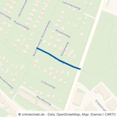 Birkenweg Essen Borbeck-Mitte 