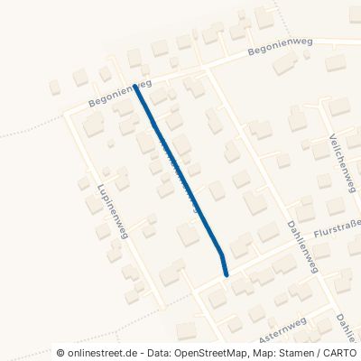 Kornblumenweg 89297 Roggenburg Schießen 
