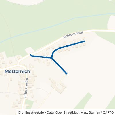 Im Vorhaupt Münstermaifeld Metternich 