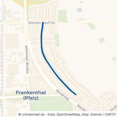 Eichendorffstraße 67227 Frankenthal Frankenthal 