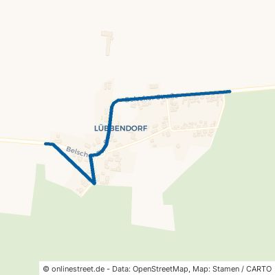Belscher Straße Lübtheen Lübbendorf 