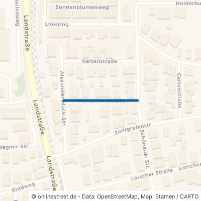 Alemannenstraße 69198 Schriesheim 