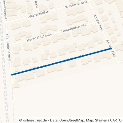 Höllfeldstraße Hagelstadt 