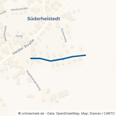 Waldweg Süderheistedt Aukrug 