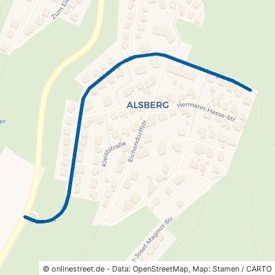 Alsbergstraße Betzdorf 