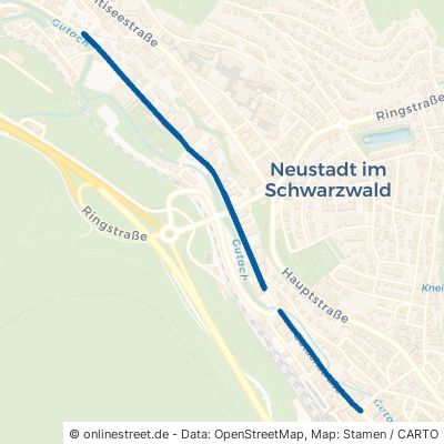 Gutachstraße 79822 Titisee-Neustadt Neustadt Neustadt